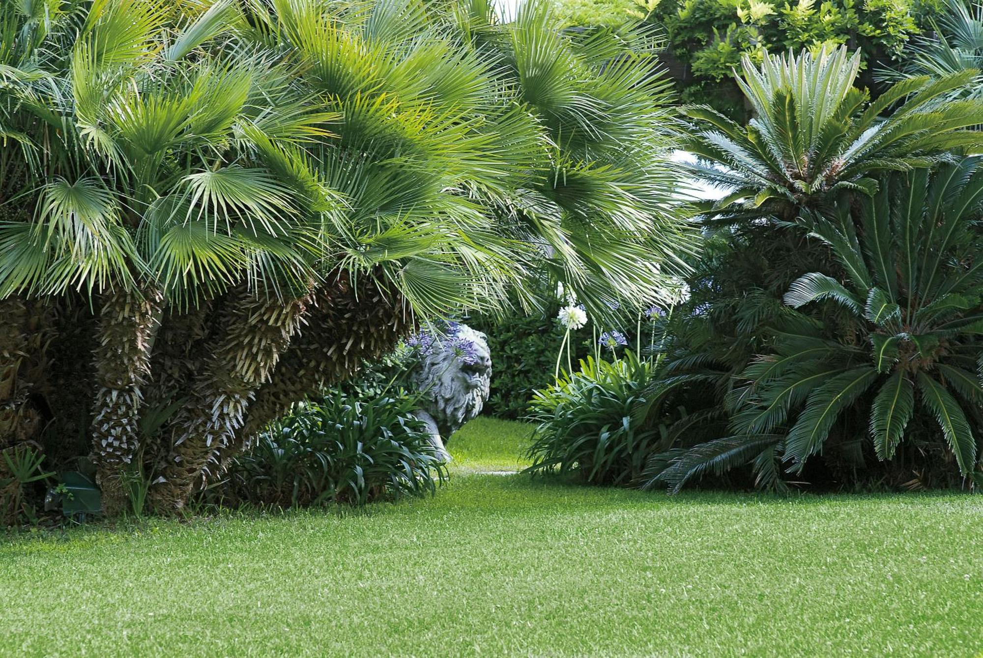 Grand Hotel Del Mare Resort & Spa Bordighera Ngoại thất bức ảnh
